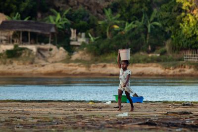 Les berges du fleuve Sambirano
